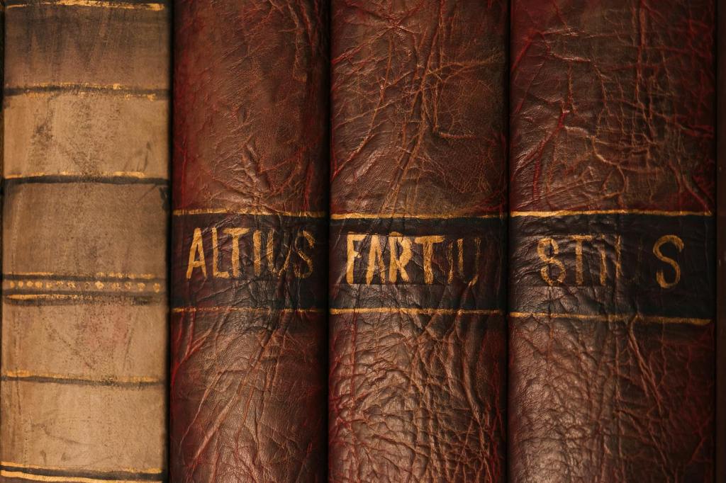 Dark brown book spines made from leather, with gold writing